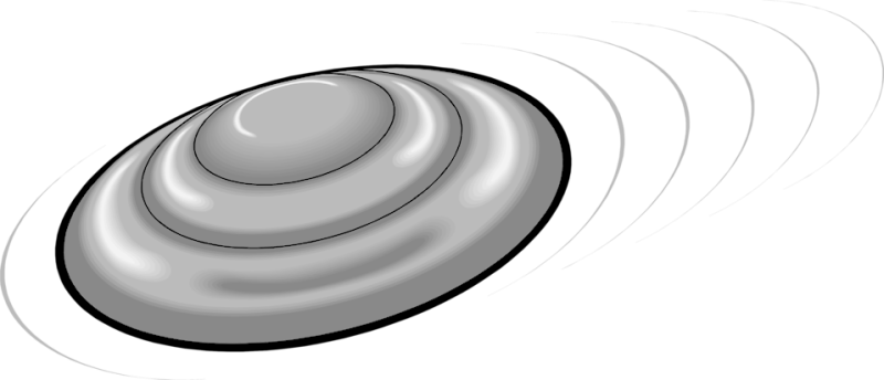 Frisbee (800x344)