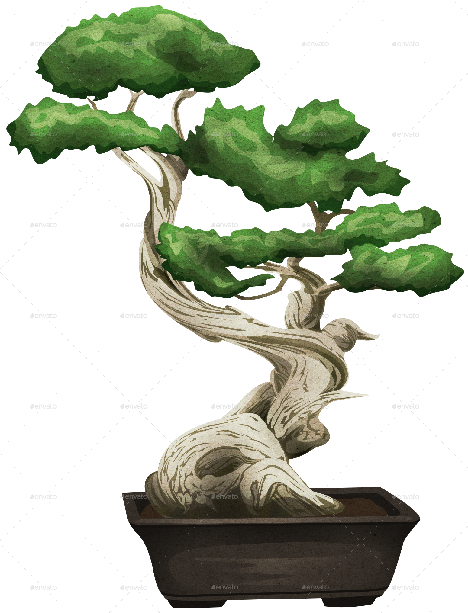 Jpg Bonsai - Bonsai Png (1564x2044)