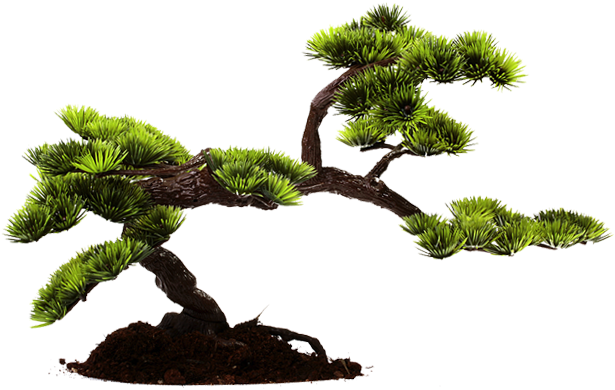 Zona Gallery - Arbre Stylé (627x400)