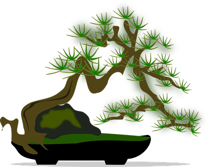 Bonsai Clip Art Flora Nature Plant Tree Bo - Clip Art (428x340)