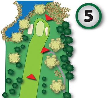 The Close-up Of The Hole > Roll Over The Red Arrows - Tree (363x339)