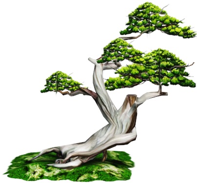 Bonsai Lowpoly - Sageretia Theezans (590x480)