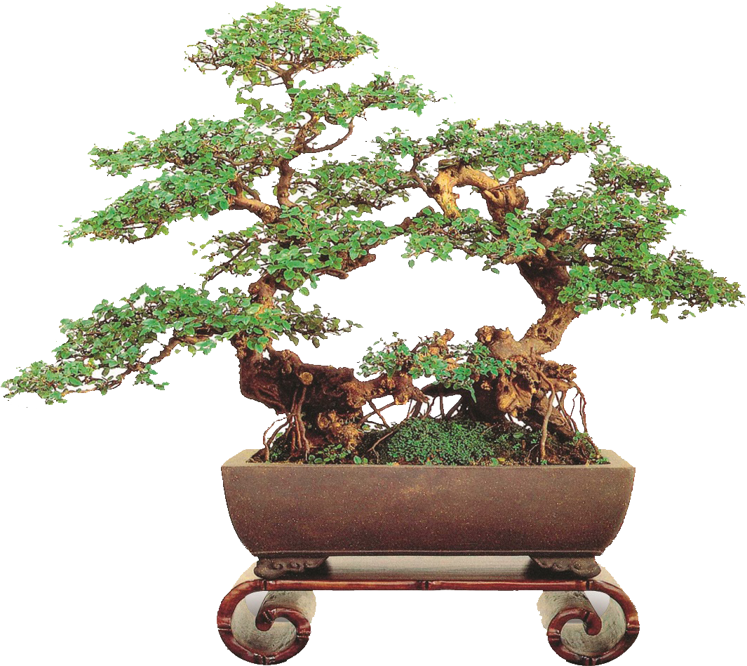 Our Philosophy - Photograph (1299x1181)