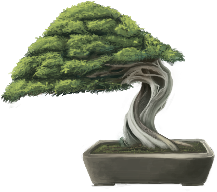 Bonsai Tree By Minums Bonsai Tree By Minums - Bonsai Png (1024x788)