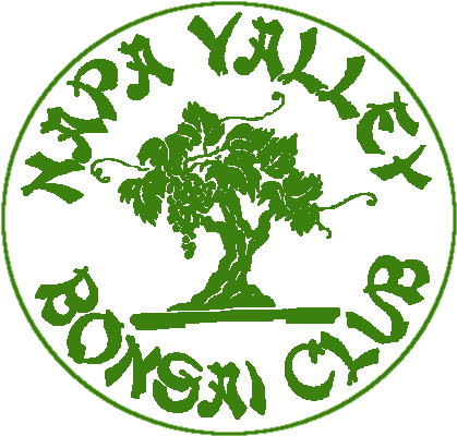 Napa Valley Bonsai Club - Emblem (480x440)