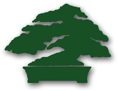 1989 Wurde In Tirol Der Bonsai Club Tirol Gegründet - Christmas Tree (400x400)