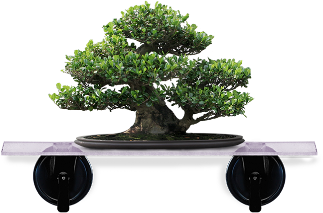 Artificial Bonsai Tree (679x471)