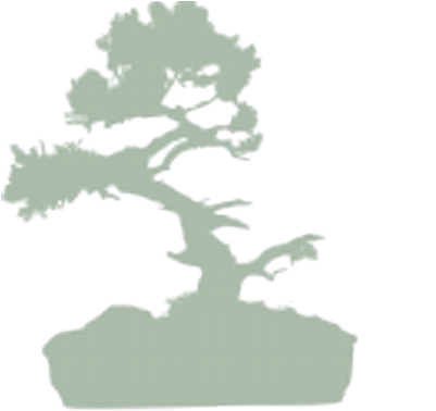 Allshapes Bonsai - Sageretia Theezans (400x400)