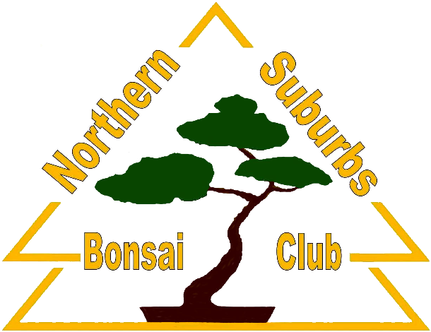 Northern Suburbs Bonsai Club - Mornington (621x478)