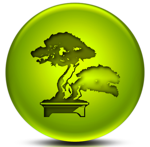 Beginning - Facebook (486x476)