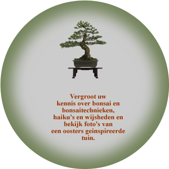 Japanese Bonsai Tree (350x350)