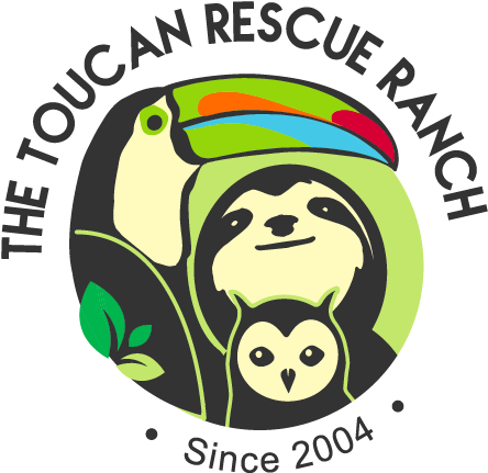 Toucan Rescue Ranch - Toucan Rescue Ranch Costa Rica (467x467)