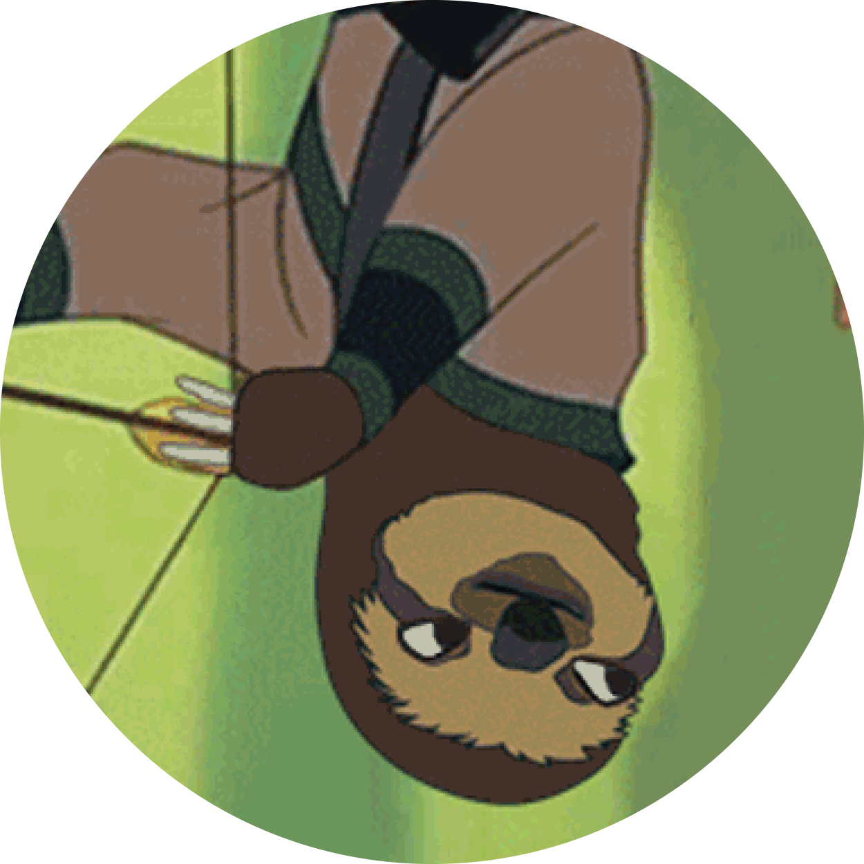 Sloth - Sloth Grabbing Own Arm And Falling (1250x1250)