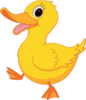 Ducklings - Duck Family Cartoon (500x550)