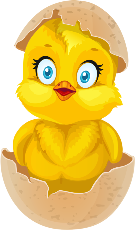 Фото, Автор Soloveika На Яндекс - Chick Hatching From Egg Clipart (488x800)