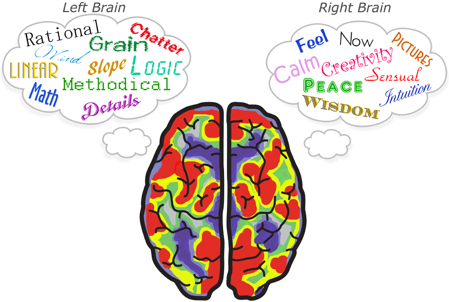 Leave the brain. Головной мозг логика. Логика и эмоции мозг. Мозг Kids.