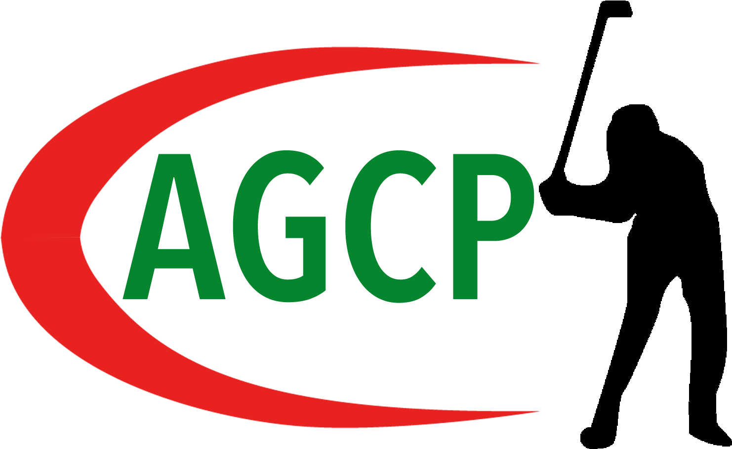 Association Of Golf Clubfitting Professionals - Association Of Golf Clubfitting Professionals (1920x1080)