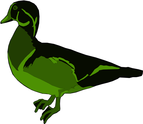 Duck Clipart Green - Wood Duck With Transparent Background (505x505)
