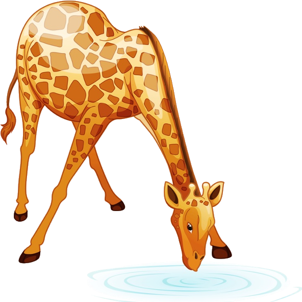 Giraffe Clipart Jungle Safari Baby Shower By Shannariehlartshoppe - Cartoon Giraffe Drinking (600x600)