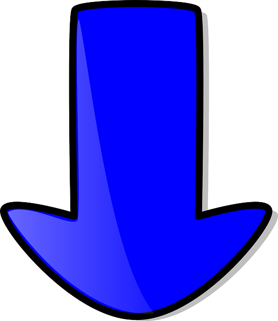 Down - Fleche Vers Le Bas Png (554x640)