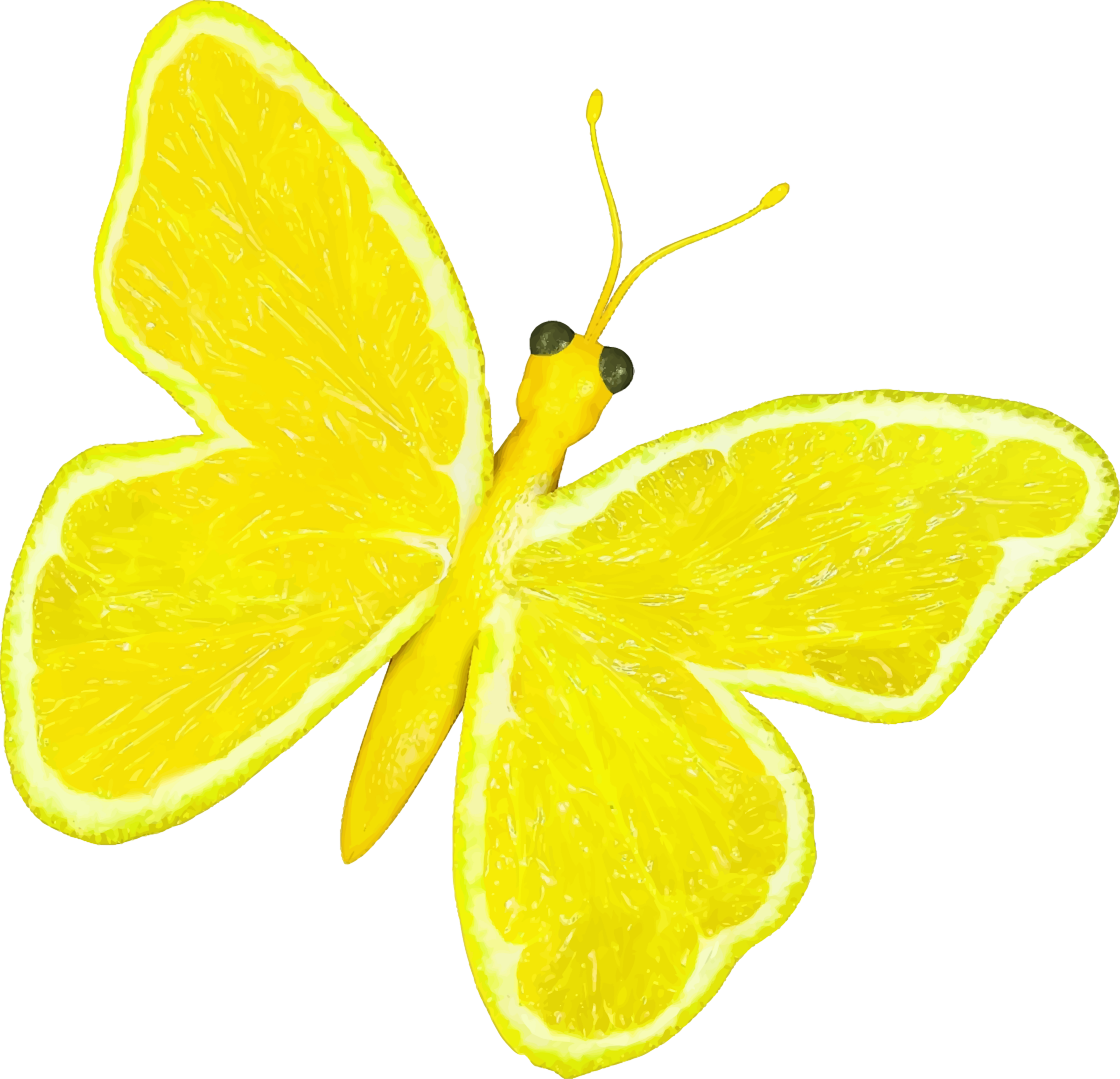 Big Image - Citrus Lemon Butterfly (2400x2312)