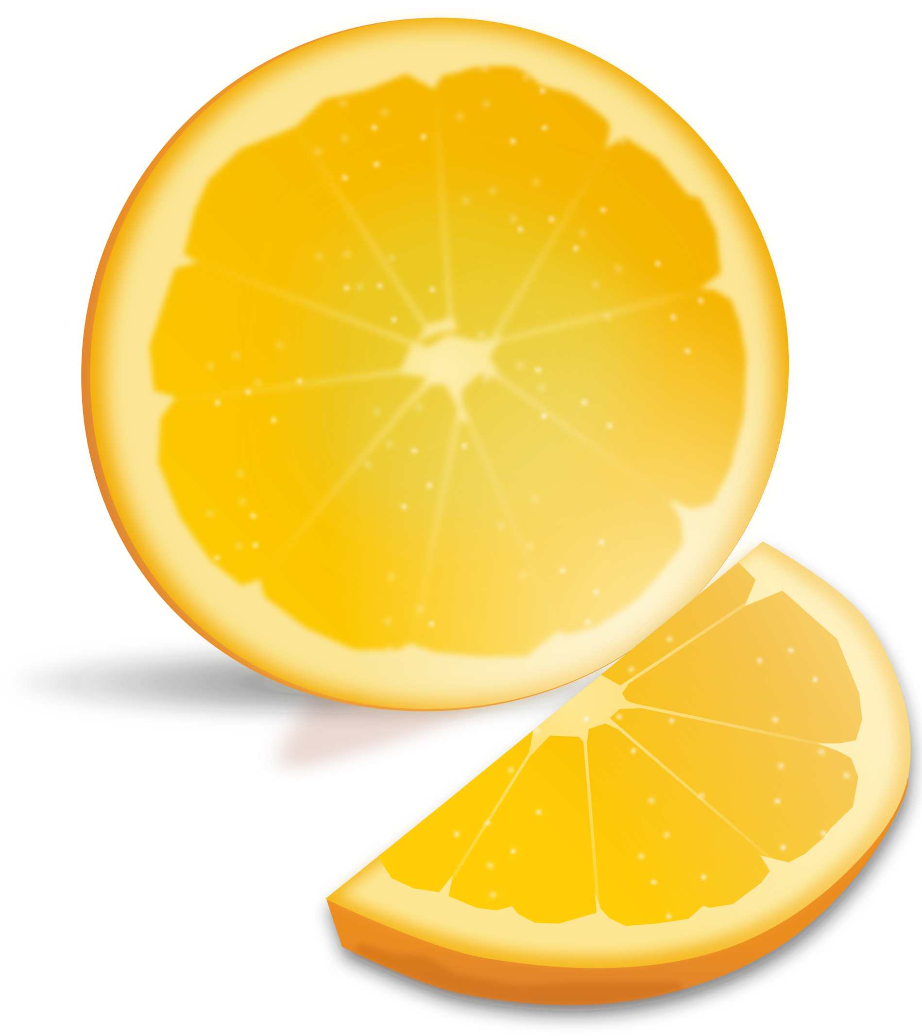 Lemon Clipart Orange Slice - Orange Slice (1920x2400)