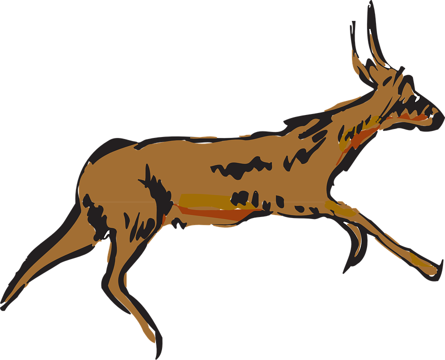 Pronghorn Antelope Clipart Animated - Running Antelope Png (890x720)