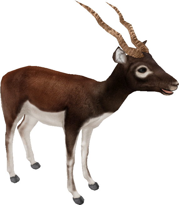 Blackbuck - Zt2 Blackbuck (700x662)