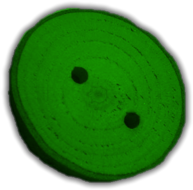 Picture - Circle (426x410)