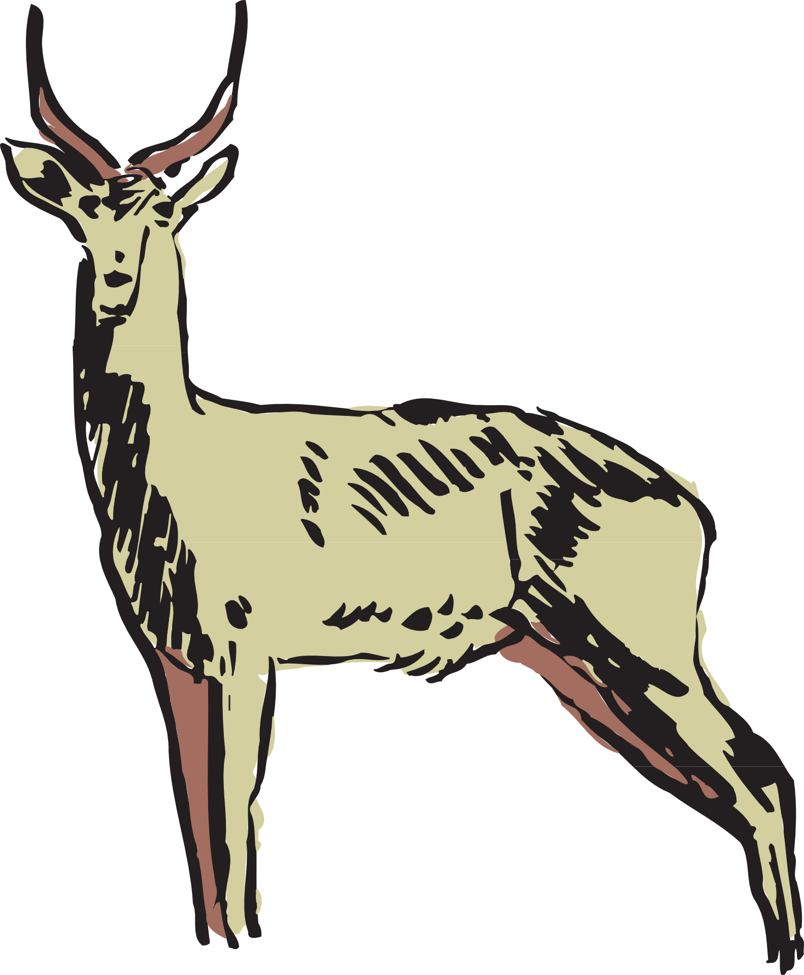 Pronghorn Antelope Clipart Gazelle - Animals Clipart (1584x1920)