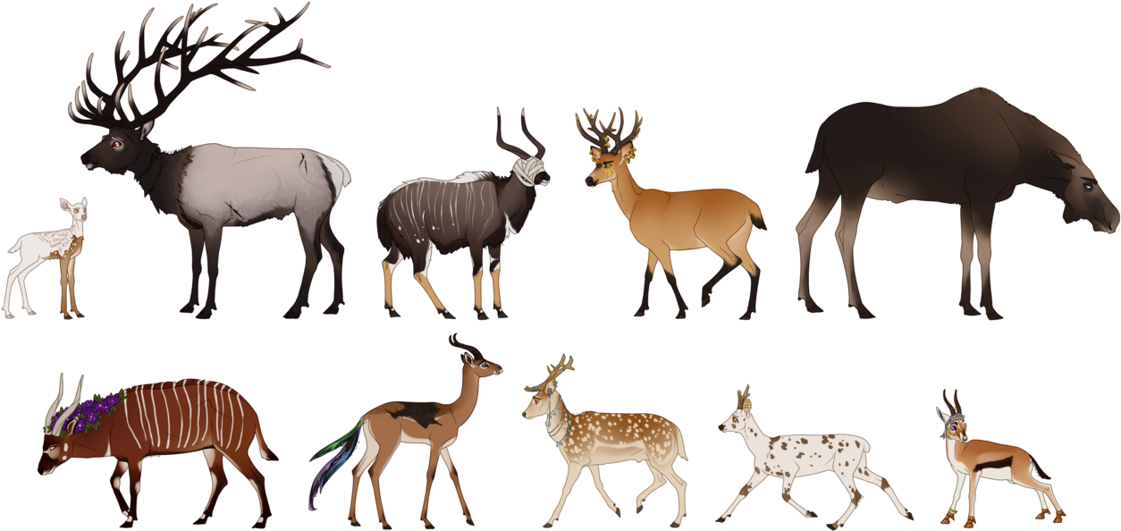Deers And Antelopes By Vivaliis - Deer (1310x610)