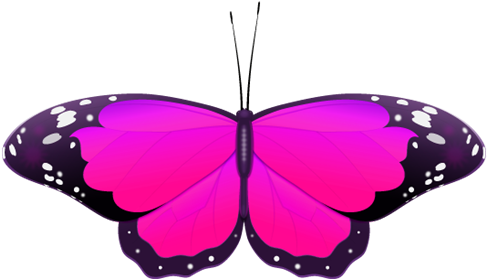 Wedding Clip Art - Pink Butterfly Clip Art (500x294)
