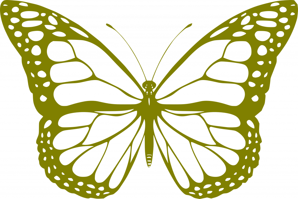 Free Butterfly Clip Art - Blue Butterfly Coloring Page (1024x684)