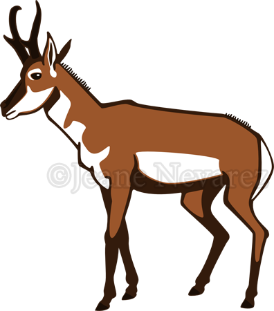 Art By Jeane Nevarez - Pronghorn Clipart (396x450)