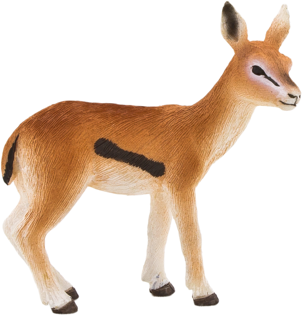 Thompson Gazelle Png (2219x1480)
