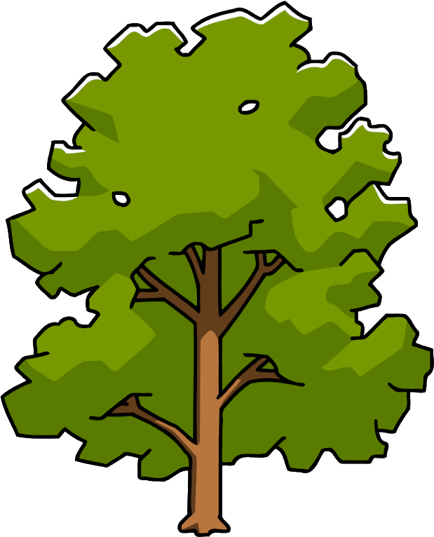 Sycamore - Oak (625x768)