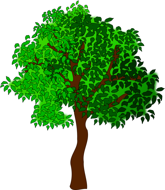 Medium Image - Trees In Summer Clipart (800x800)