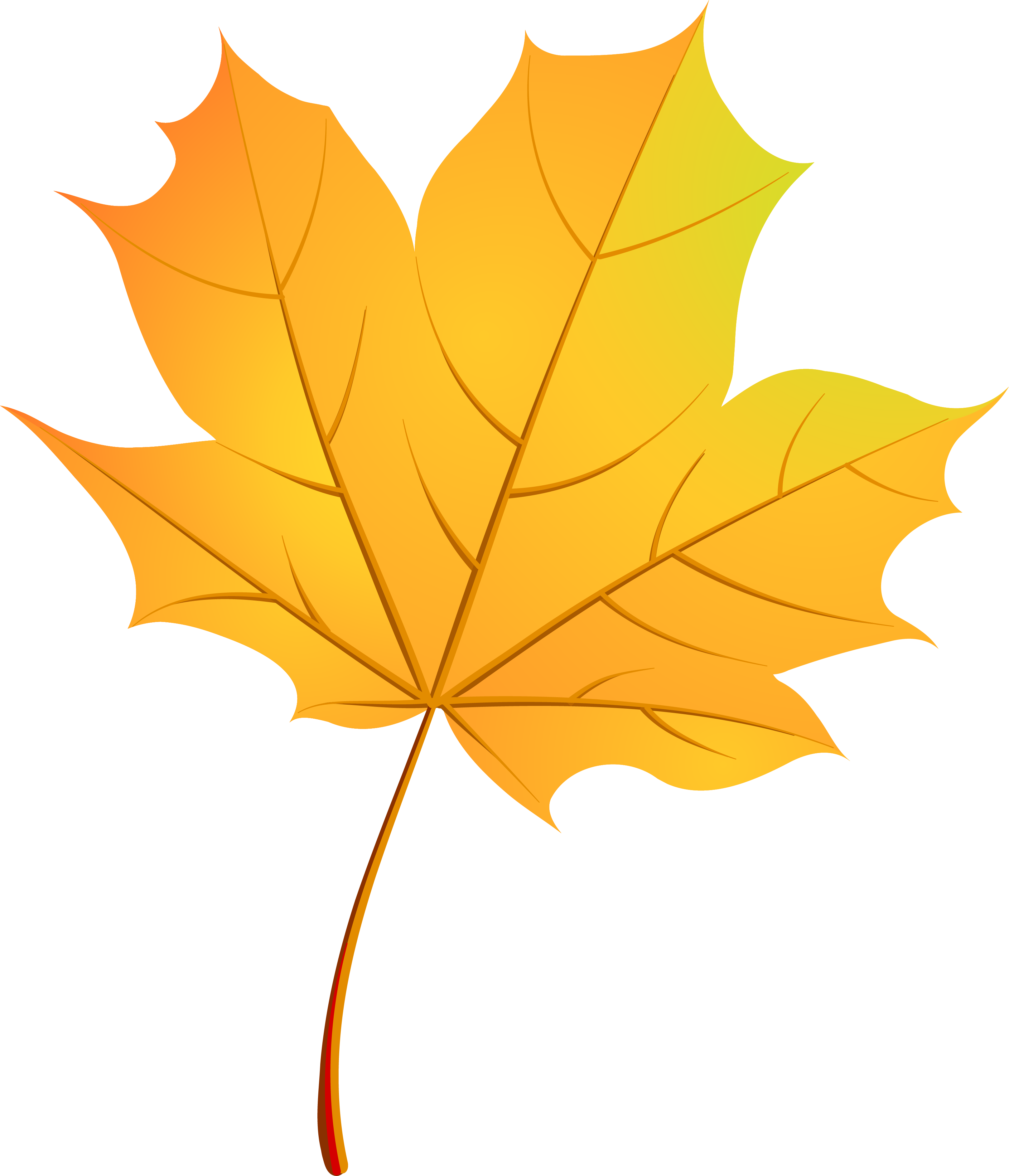 Autumn Leaves Maple Leaf - Кленовый Лист Вектор Png (3236x3770)