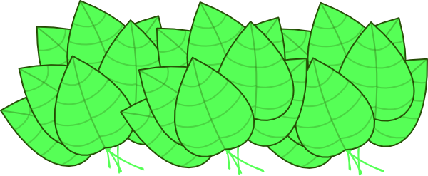 Cartoon Jungle Leaves Free Vector Jungle Clipart - Cartoon Jungle Leaves Transparent (600x247)