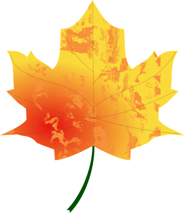 Fall Leaves Clip Art 15, - Autumn Leaf (624x720)