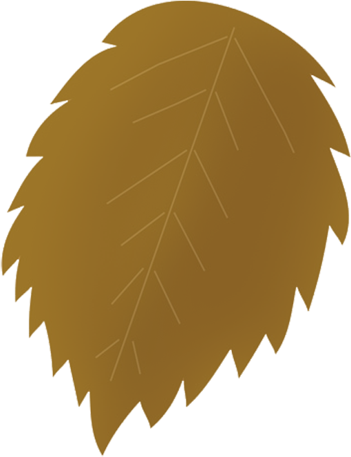 Brown Clipart Brown Leaves - Autumn (618x768)