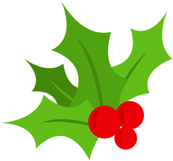 Holly Leaves Clipart - Mistletoe Graphic (1024x1024)