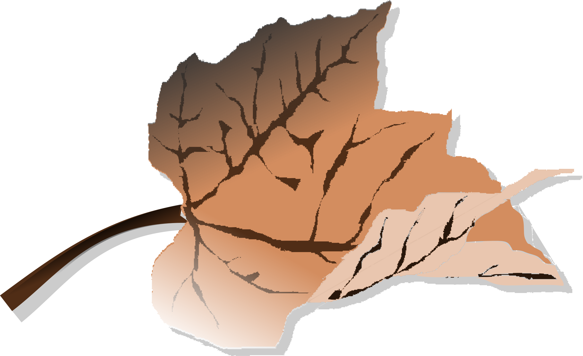 Leaves Clipart Brown Leaf - Dead Leaves Clip Art (2400x1465)