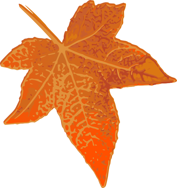 Orange Maple Leaf Clip Art (564x599)
