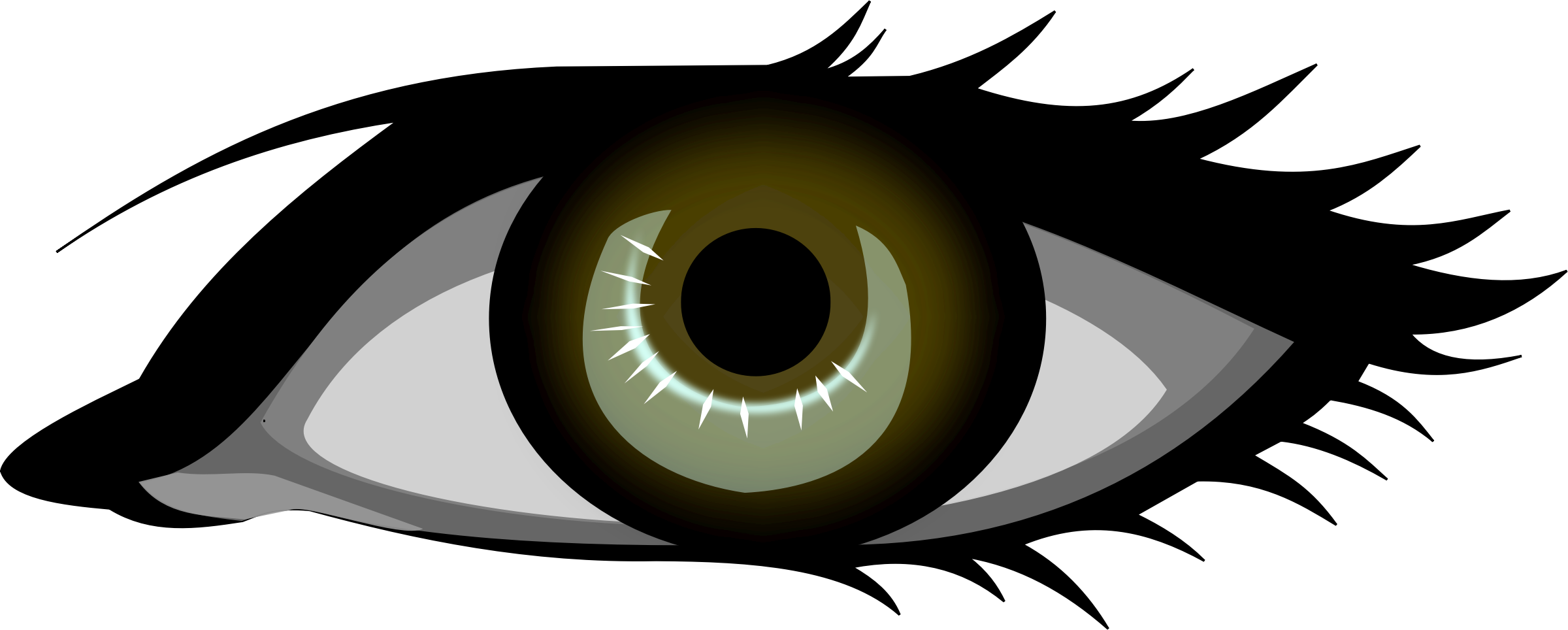 Eyes Clipart Transparent Background - Dominant And Recessive Traits (2400x964)