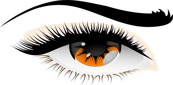 More Golden Eyes Clip Art At Clker - Eyebrow (600x298)
