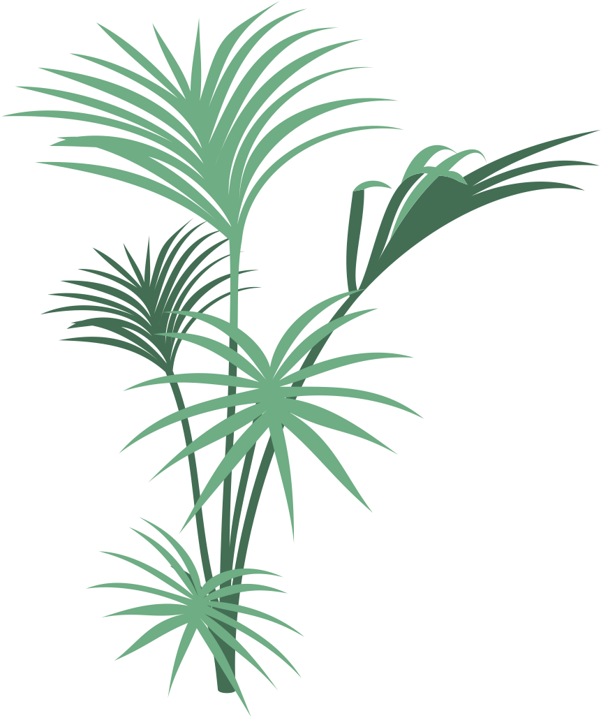 Jungle Plant Png Wwwpixsharkcom Images Galleries - Pink Fairy Shower Curtain (861x1028)