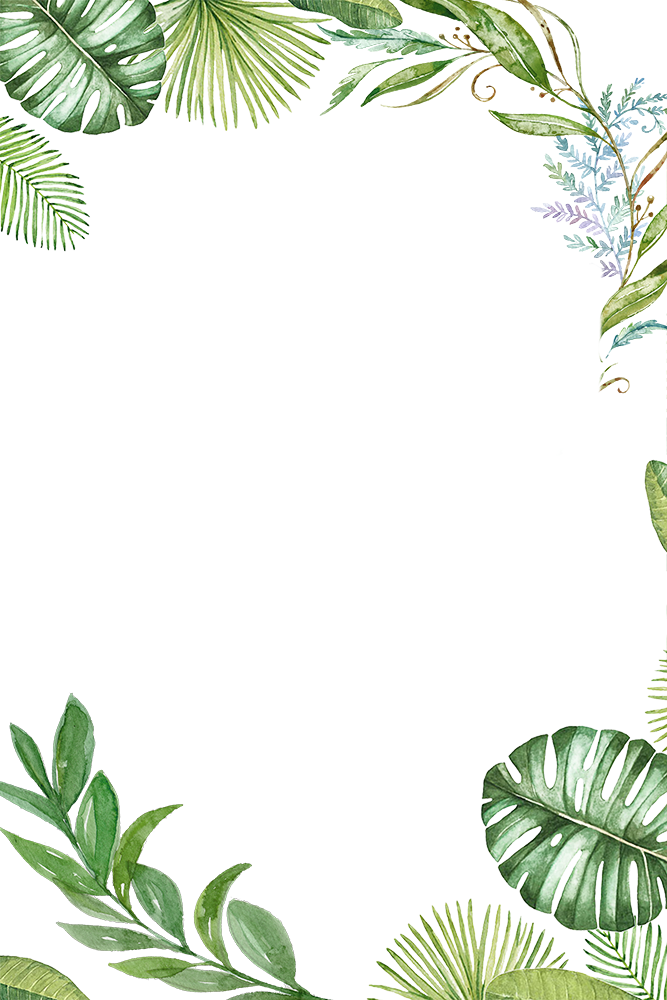 Hibiscus Leaf Clipart Download - Tropical Leaf Frame Png (667x1000)