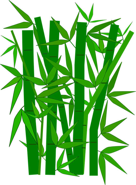 Jungle Leaves Cliparts 25, Buy Clip Art - Bamboo Clipart (530x720)