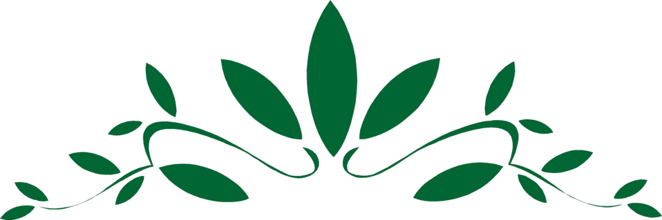 Design Free Stock Photo Illustration Of A Green Leaf - Poster On Father's Day (958x319)